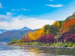 Nami Island Scenery from the boat