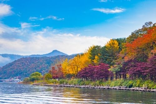 Nami Island Scenery from the boat