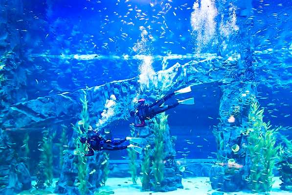 樂天世界水族館