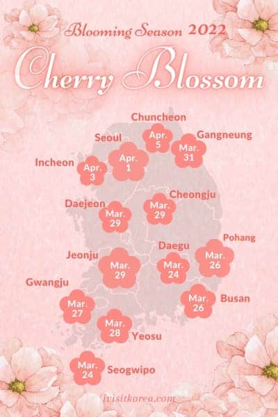 2022 Blooming Dates for Cherry Blossoms in Korea.