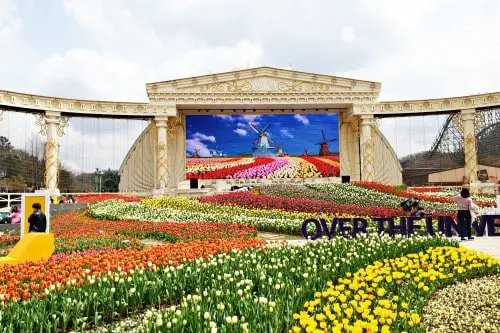 เทศกาลทิวลิปที่สวนโฟร์ซีซั่น