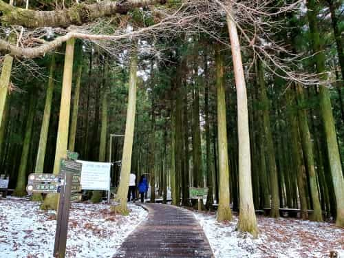 Jeolmul Natural Recreation Forest