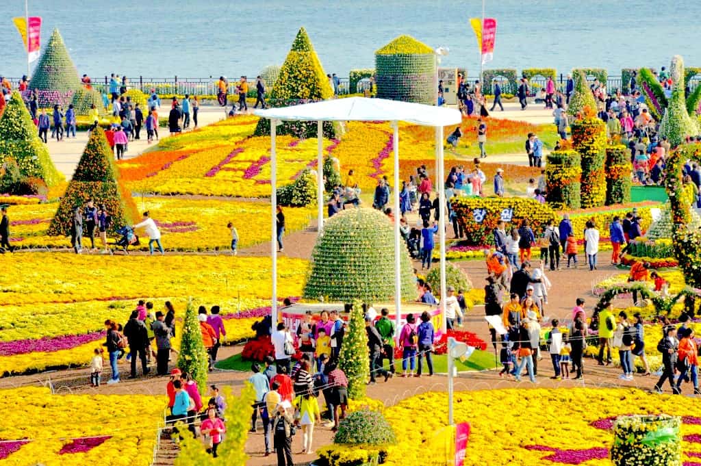 flower festival in Korea