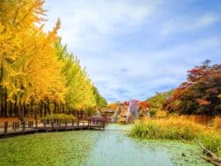 nami island