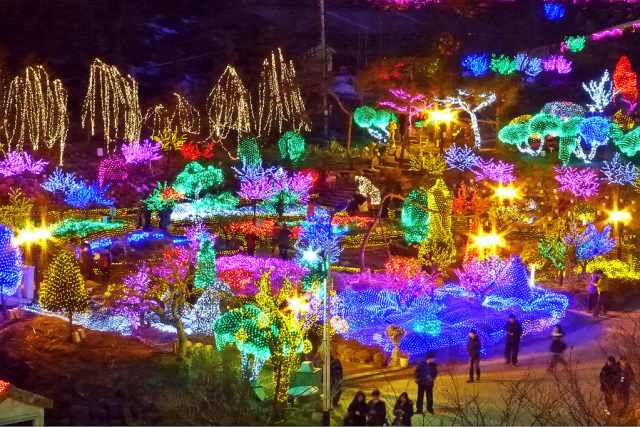 Taman pencahayaan festival tenang moning
