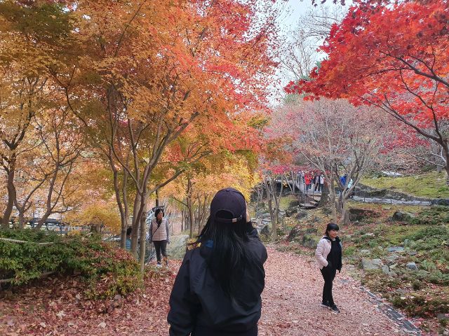 Foresta di Hwadam in autunno
