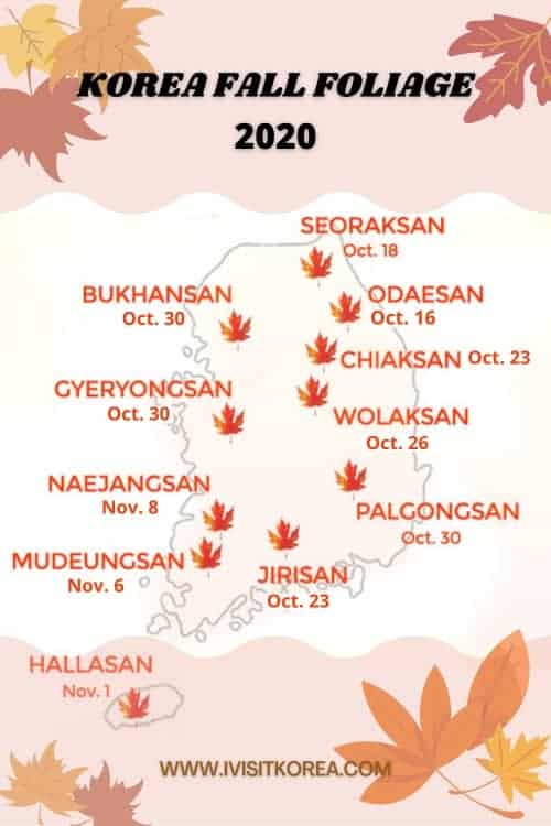 Korea Fall Foliage 2020