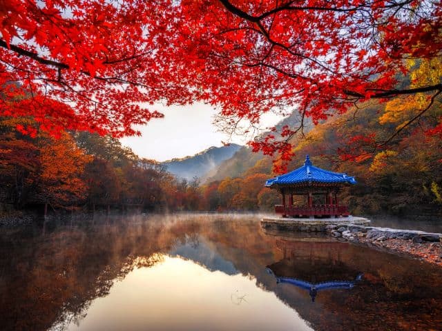 Naejangsan National Park in Autumn