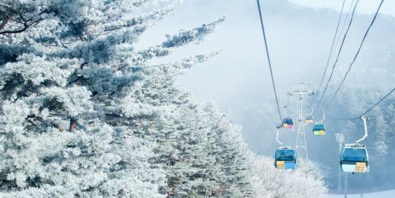 Things to Do in Korea in Winter