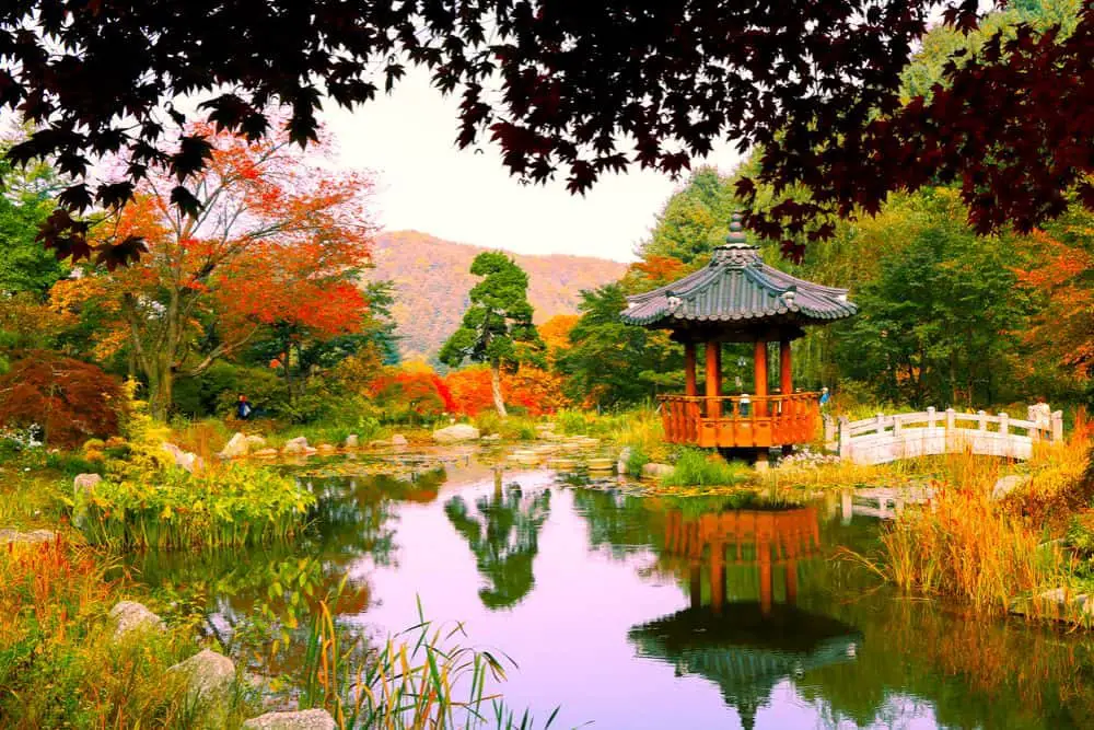 the garden of morning calm