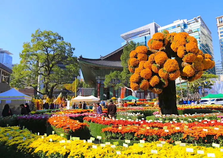 seoul temple jogyesa