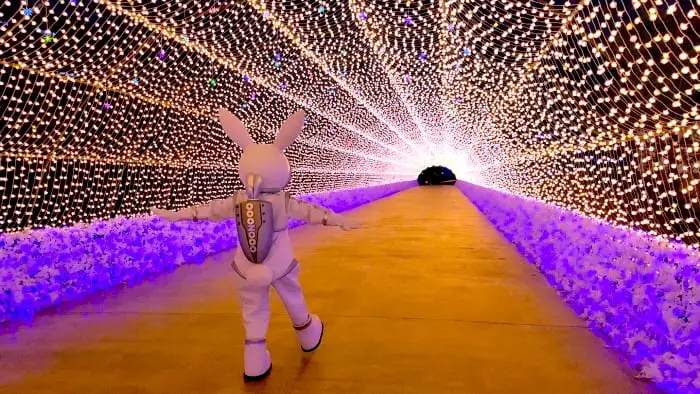 light festival in korea