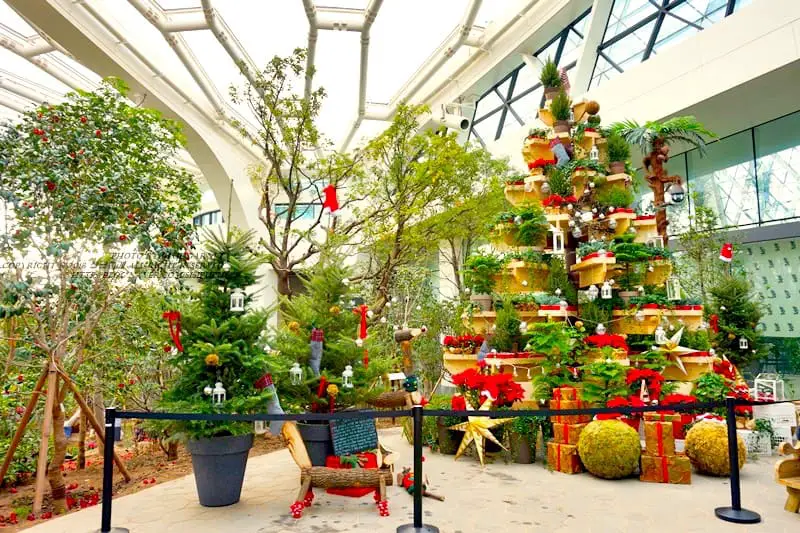 首爾植物園冬季節19 Ivisitkorea