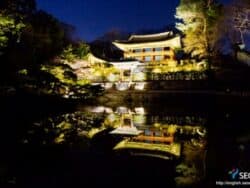Apertura notturna del Palazzo di Changdeokgung