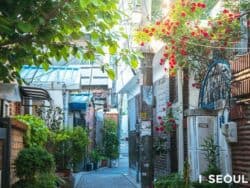 Seochon Village Tour in Seoul