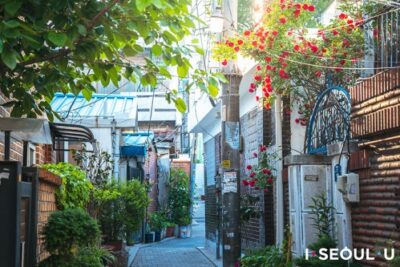Seochon Village Tour in Seoul