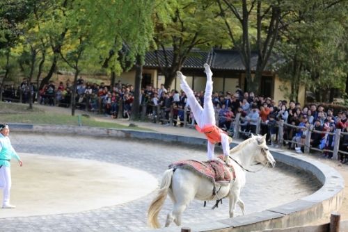 Esibizione di equitazione nel villaggio folcloristico coreano