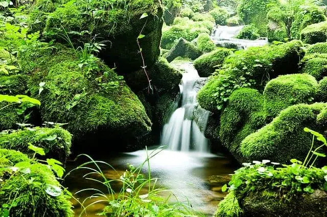 Korea mountain hiking