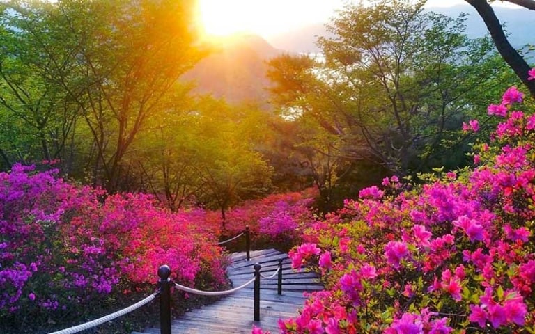 Best 7 Mountains for Hiking in Seoul