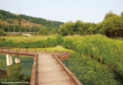 Lahan basah ekologis Taman Nanji Hangang