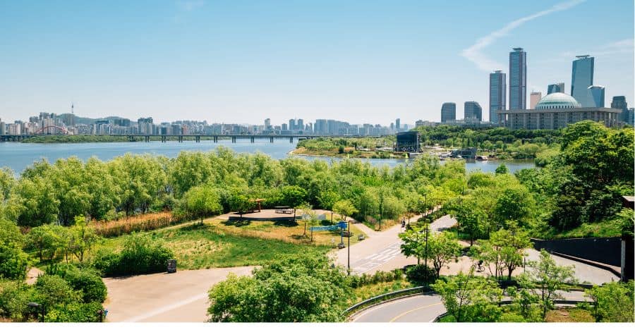 Parco del fiume Han a Seul