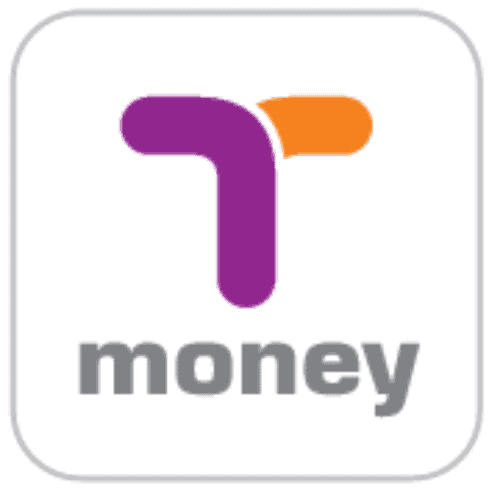 T Money Logo