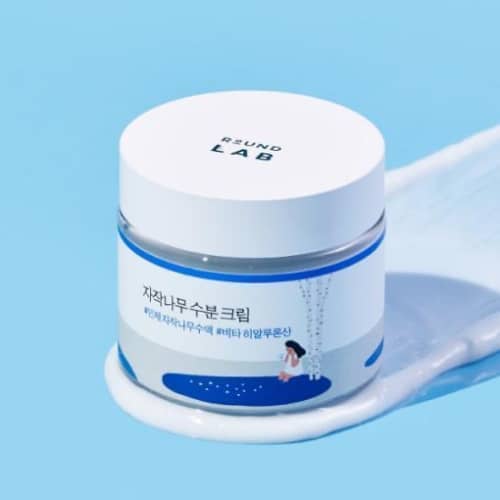 Round-lab-birch-tree-moisture-cream. Best Vegan Korean Skincare
