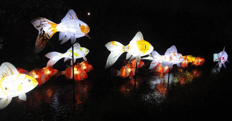 Seoul Lantern Festival 2020 Featured