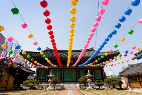 Lotus Lanterns on Buddha's Birthday in Korea