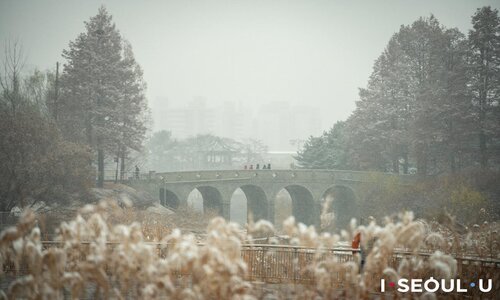 Winter Olympic Park instagram Seoul