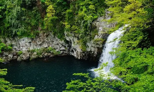 Picture of Cheonjiyeon Waterfall in Jeju Island