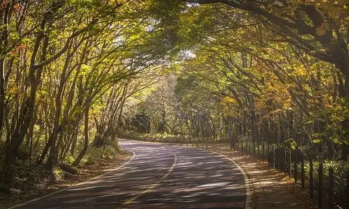 autumn in jeju