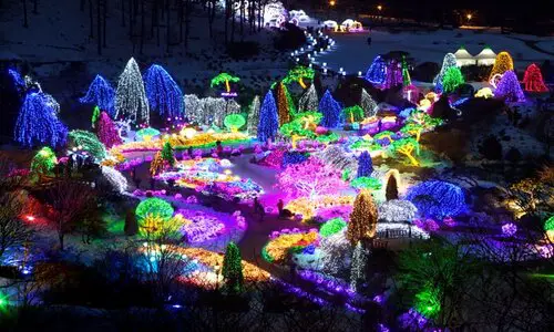 many bright, neon lights in jeju light garden with different shapes and structures