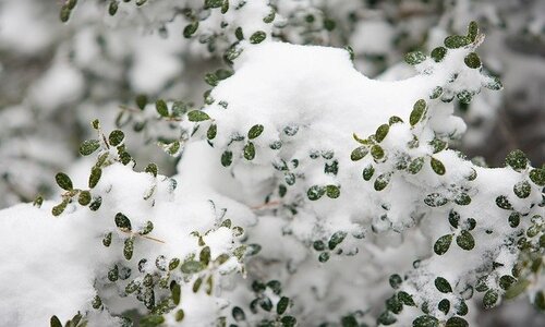 winter in jeju