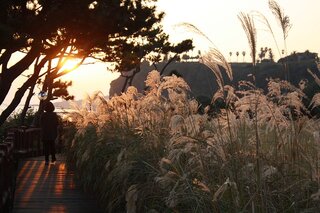 jeju island at night