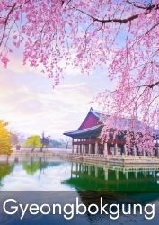 Top Attraction - Gyeongbokgung Palace