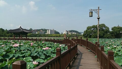 jeonju