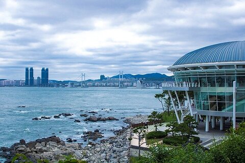 apec busan