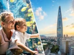 Lotte World Adventure + Aquarium + Seoul Sky Package Deal