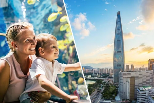 Lotte World Adventure + Aquarium + Seoul Sky Paketangebot