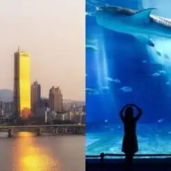 63 Building Observatory & Aqua Planet 63 Admission Ticket_c