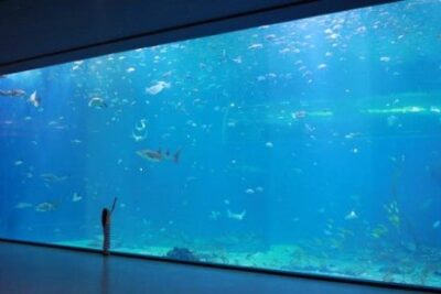AquAqua Planet Jeju Discount Ticketa Planet Jeju Discount Ticket