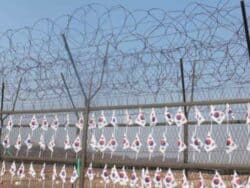 Demilitarized Zone of South Korea