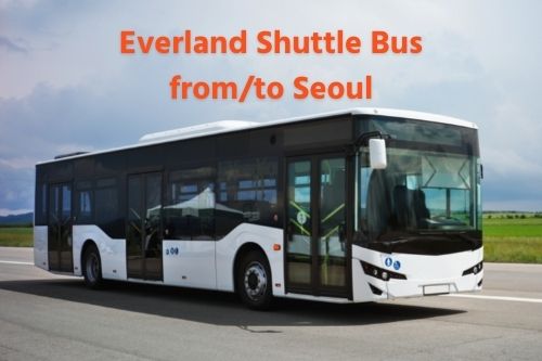Everland Shuttle Bus Transfer Seoul
