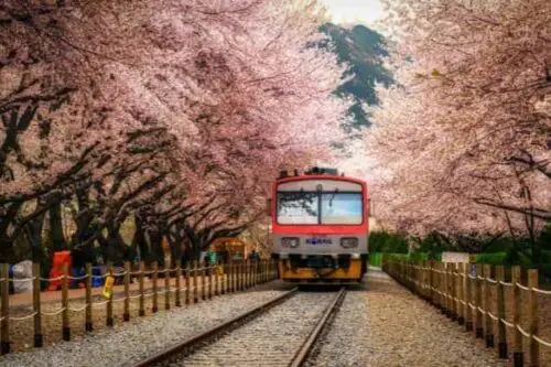 Korea Rail Pass
