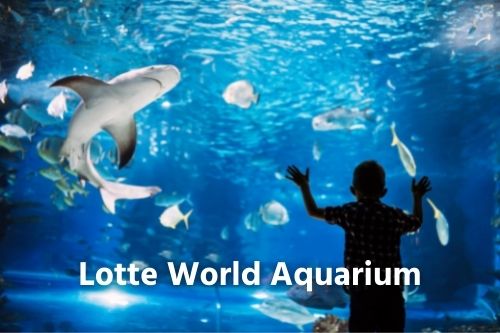 Lotte World Aquarium