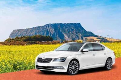 Jeju Private Taxi Tour