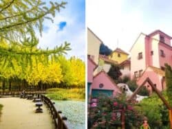 Nami Island & Petite France Day Tour from Seoul