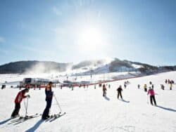 2D1N Ski Tour Alpensia Ski Resort