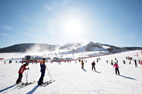2D1N Ski Tour Alpensia Ski Resort
